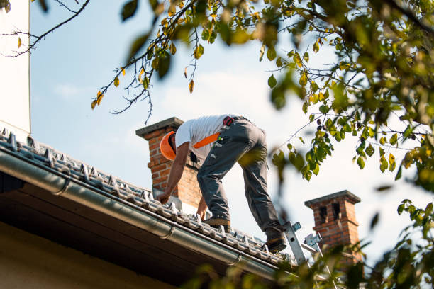 Best Flat Roof Repair Services  in Green Island, NY